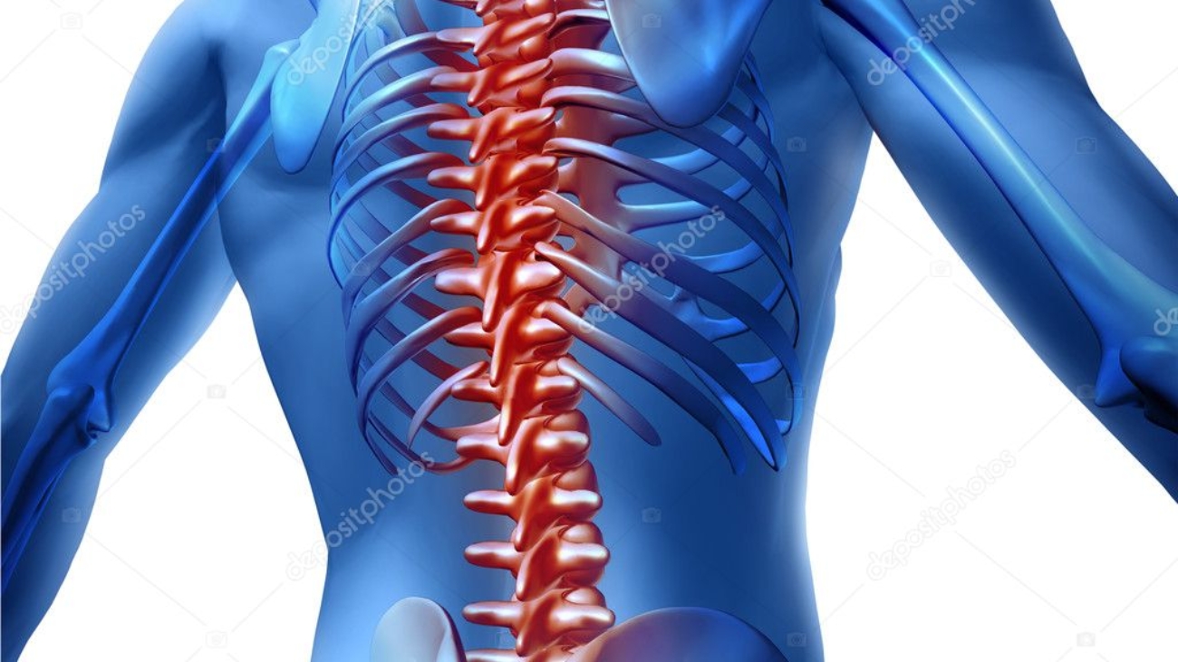 depositphotos_9446879-stock-photo-back-pain-in-human-body