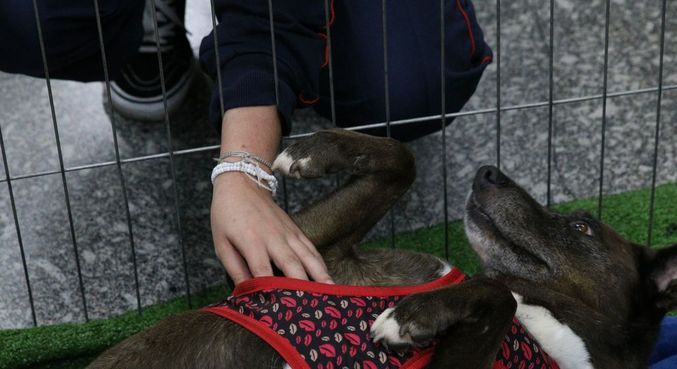 Confira seis sugestões de negócios para empreender individualmente