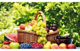 Dr. Kalil: “Falhamos ao comer pouco e exercitar muito”, diz especialistaNutricionista destaca a complexidade do mecanismo de gasto calórico e ressalta a importância da reeducação alimentar em uma perda de peso saudável