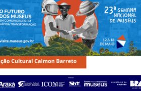 Post sem título 12513