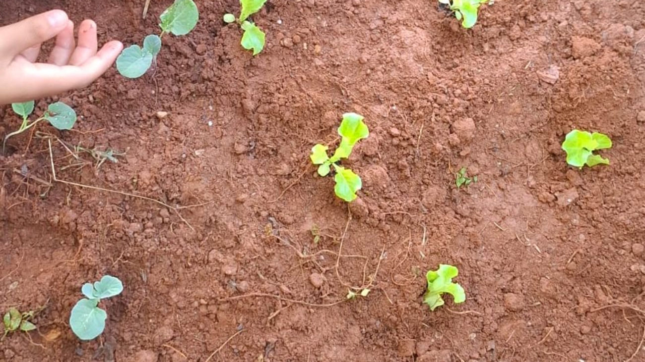 Projeto Horta promove educação ambiental e alimentação saudável para crianças acolhidas pela Fundação (7)