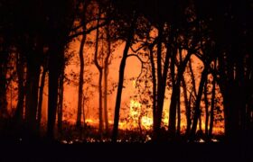 Fim do período chuvoso acende alerta para incêndios em áreas urbanas e de preservação em Araxá